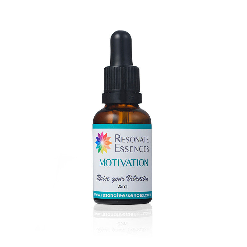 Motivation Essence