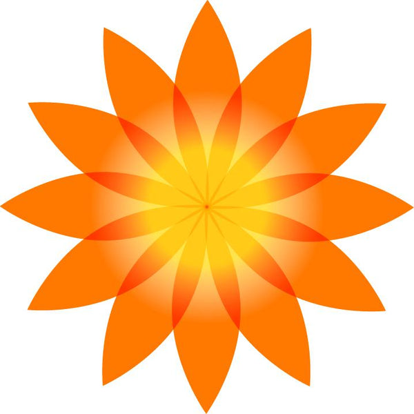 Golden Shield Activation to Liberate Your Light!