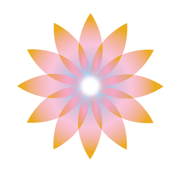 Rainbow Light Journey 11/11 - 12/12 2022