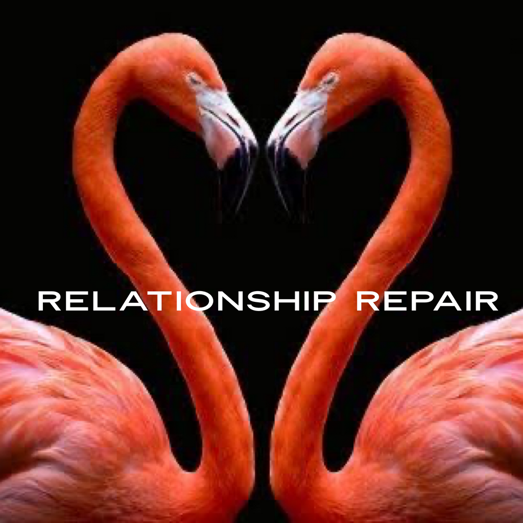 Relationship Repair Repeater