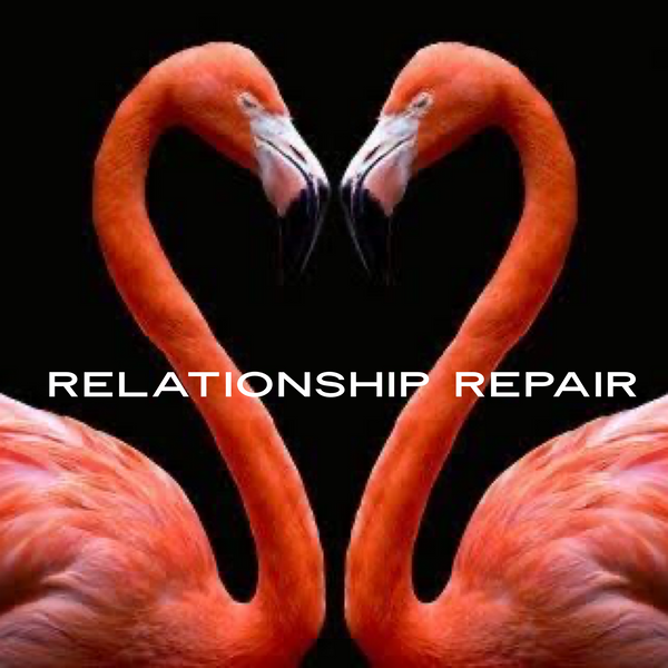 Relationship Repair Repeater
